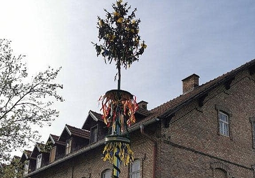 Maibaumfest 2025 in Leopoldsdorf 🎉🌿