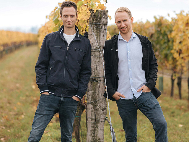 Weingut Mariel