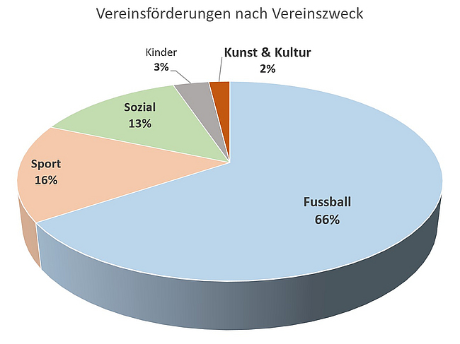 Vereinsförderungen 2024